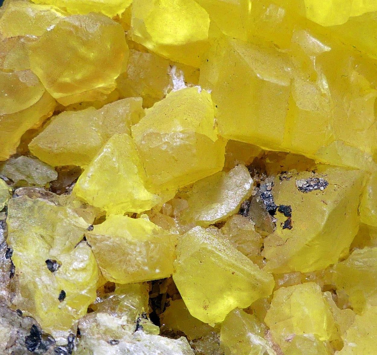 Native Sulphur With Calcite & Bitumen