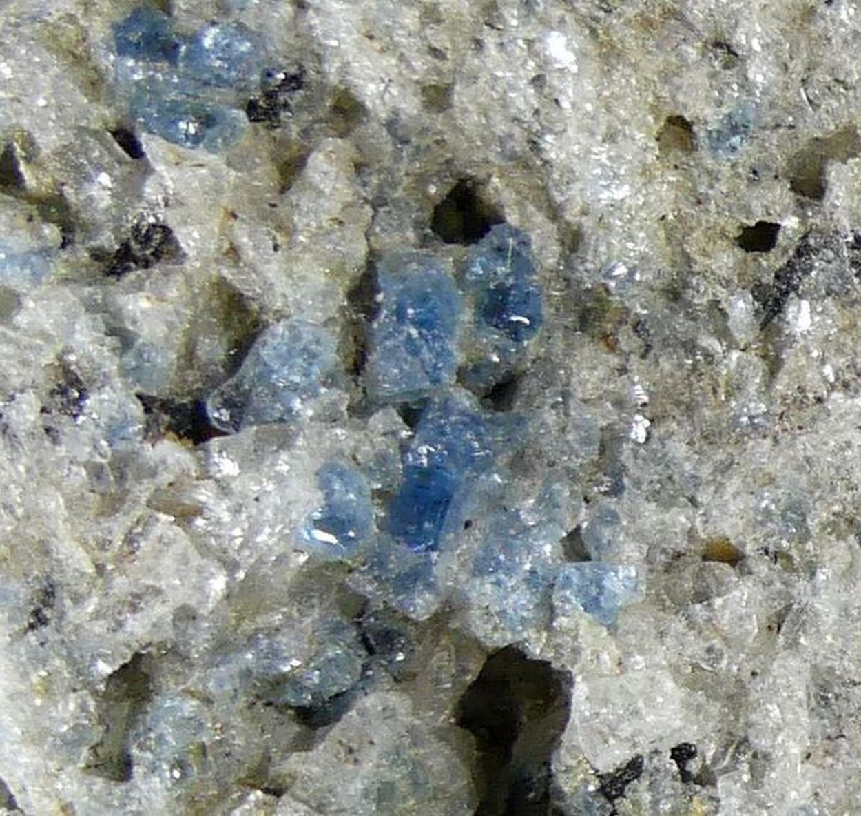 Haüyne With Sanidine