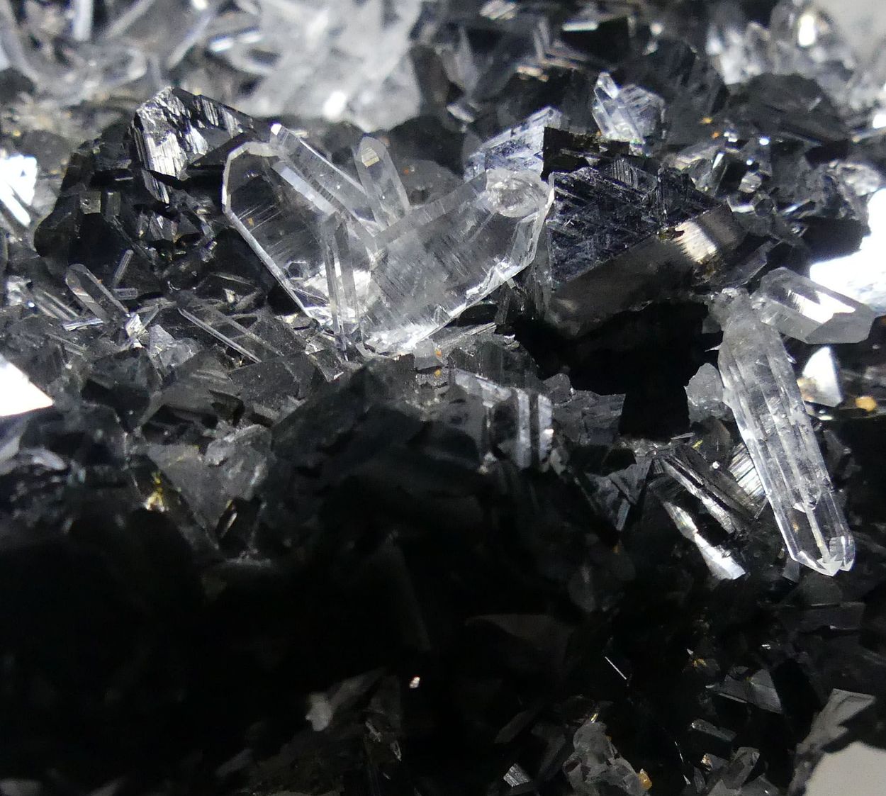 Quartz Var Japan Law & Chalcopyrite On Sphalerite