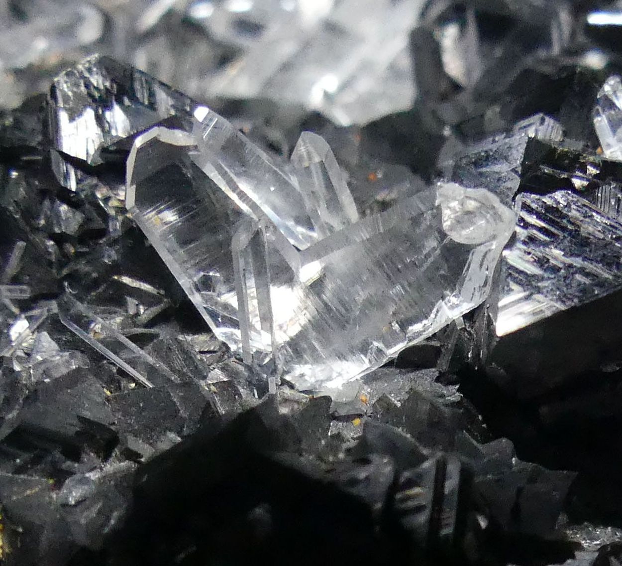 Quartz Var Japan Law & Chalcopyrite On Sphalerite