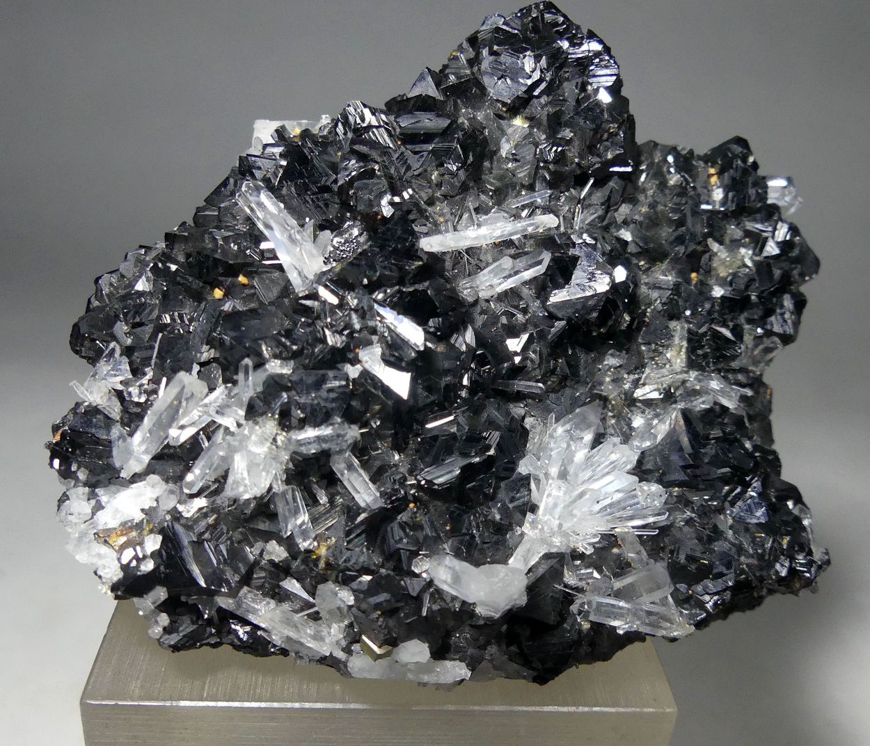 Quartz Var Japan Law & Chalcopyrite On Sphalerite