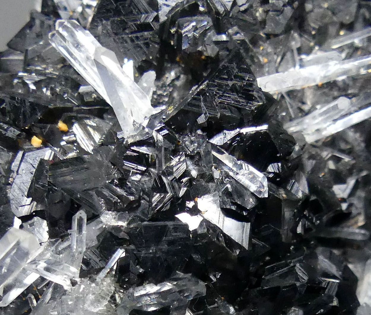 Quartz Var Japan Law & Chalcopyrite On Sphalerite