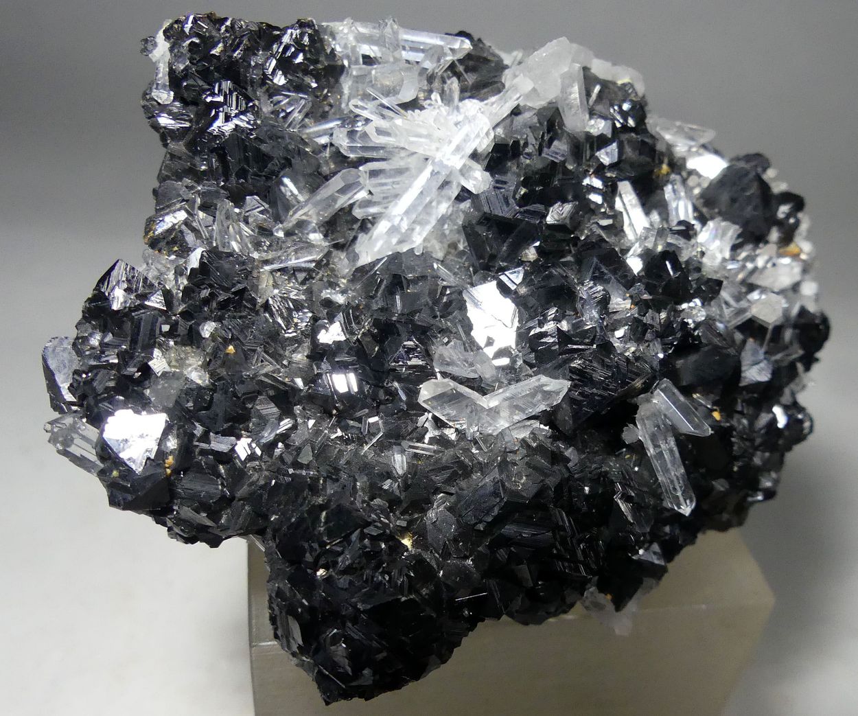 Quartz Var Japan Law & Chalcopyrite On Sphalerite