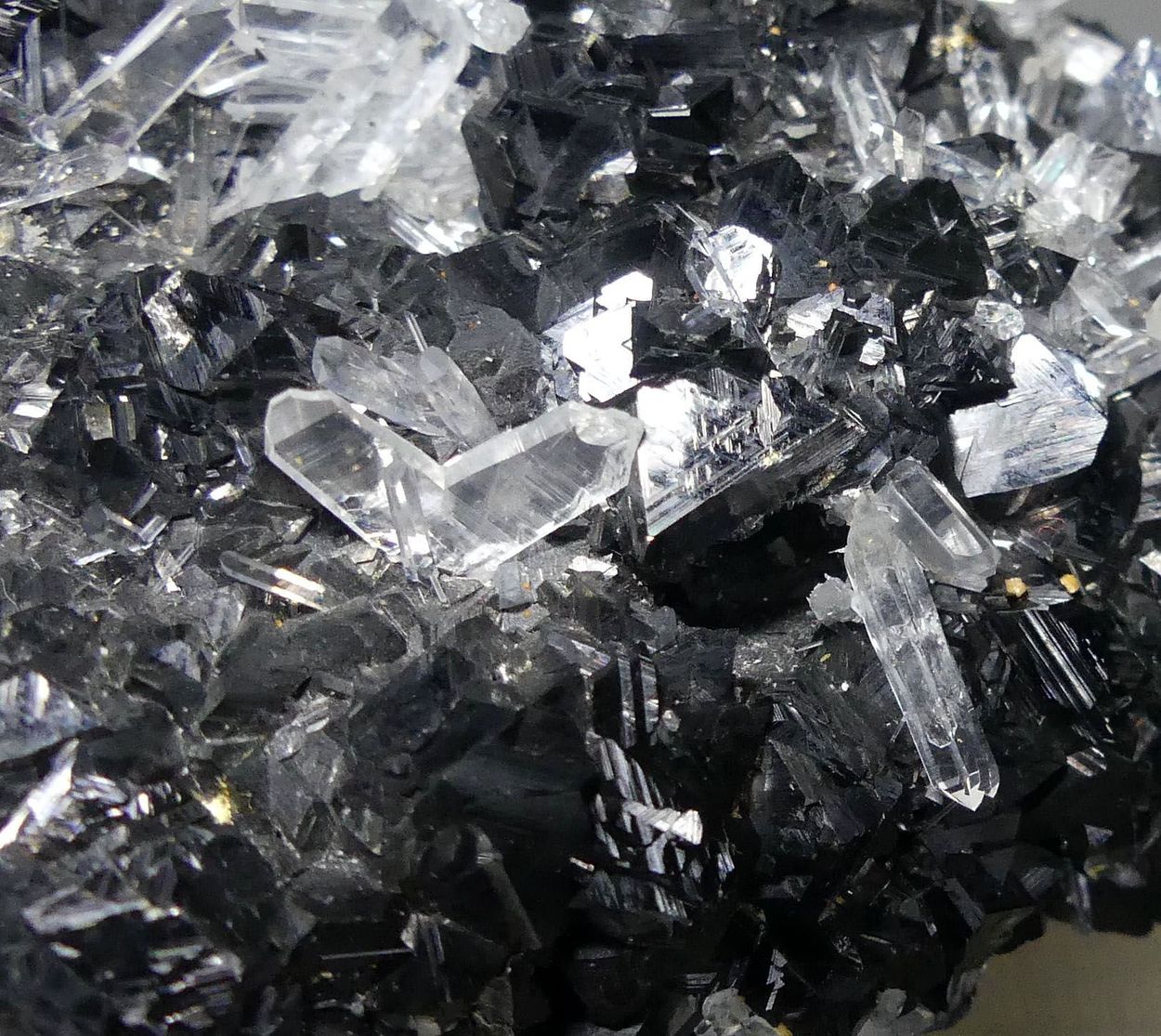 Quartz Var Japan Law & Chalcopyrite On Sphalerite