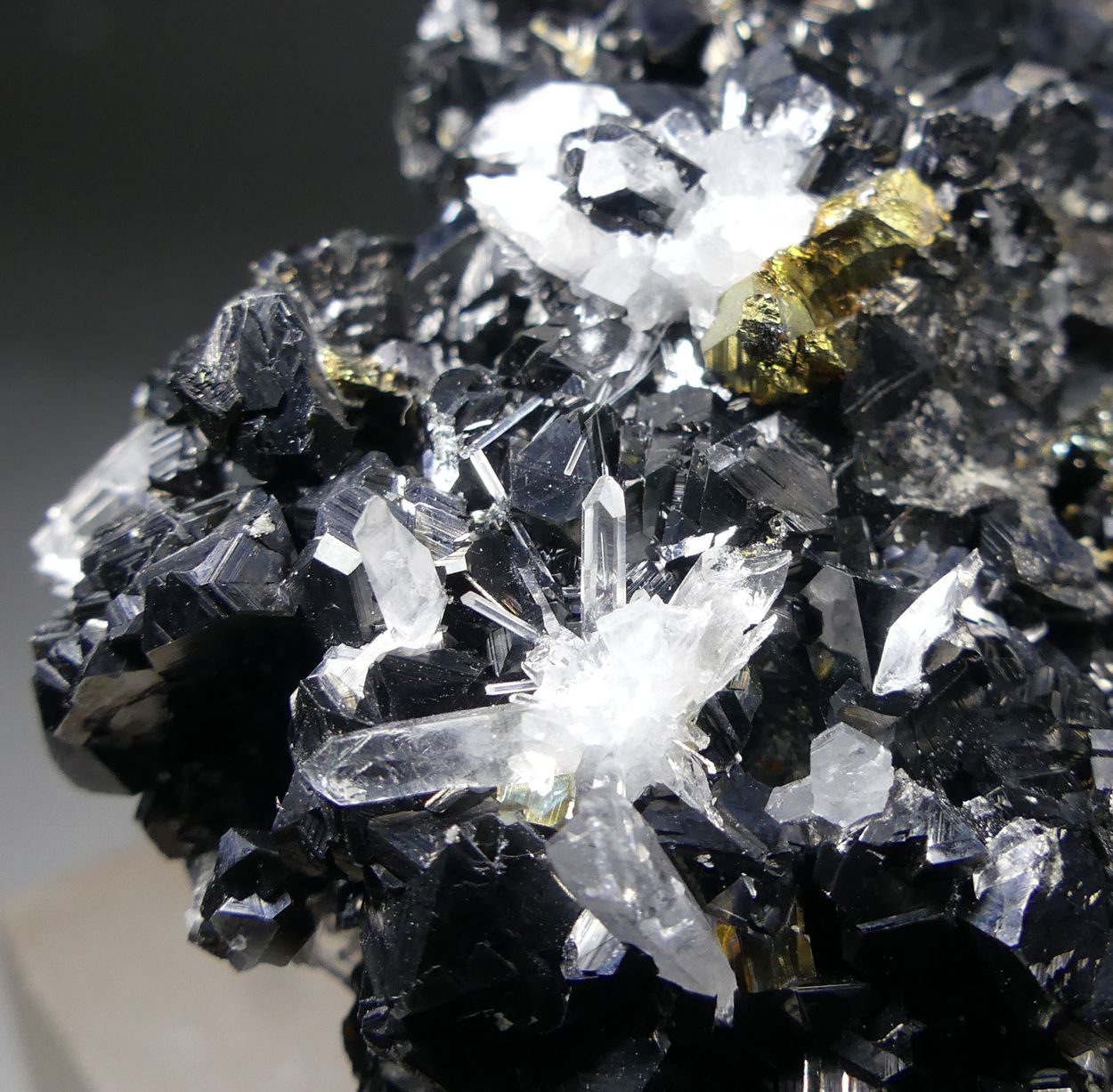 Quartz Var Japan Law & Chalcopyrite On Sphalerite