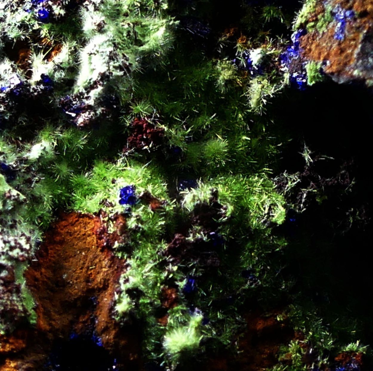 Azurite With Agardite