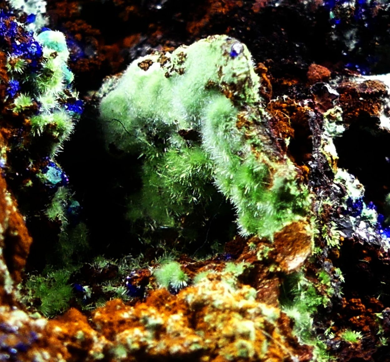 Azurite With Agardite