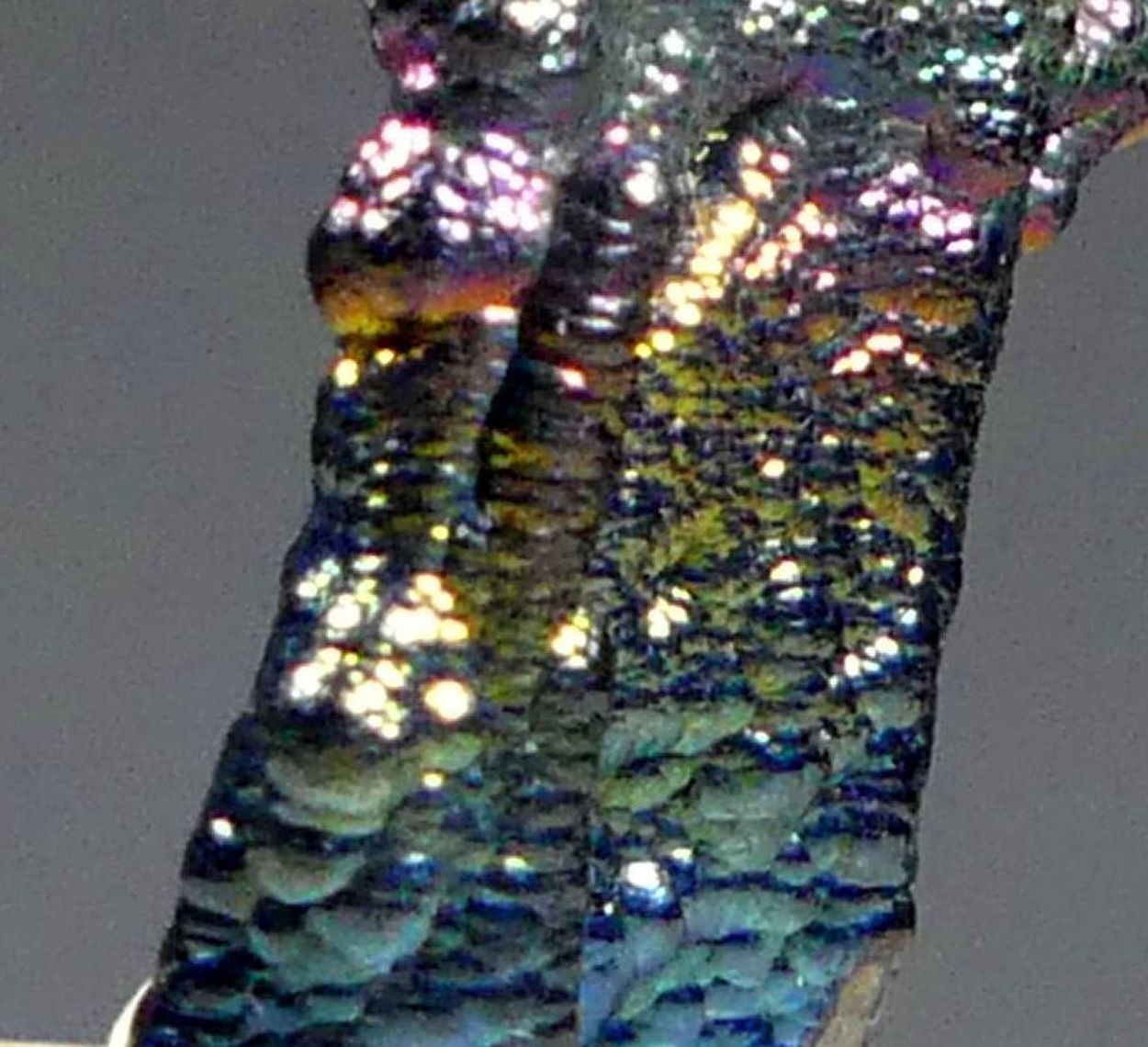 Goethite Var Glaskopf