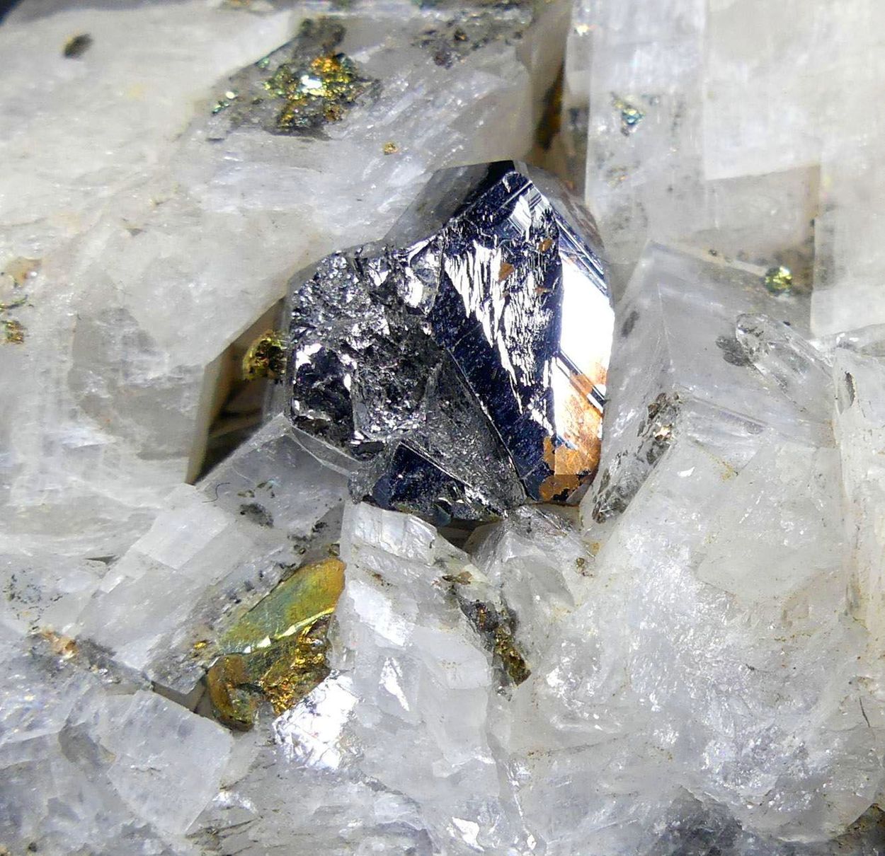 Carrollite & Chalcopyrite