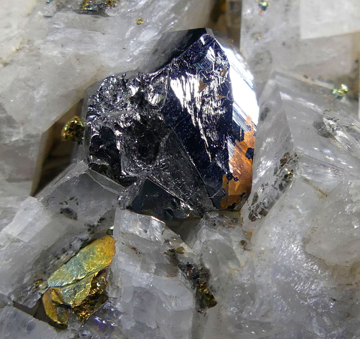 Carrollite & Chalcopyrite