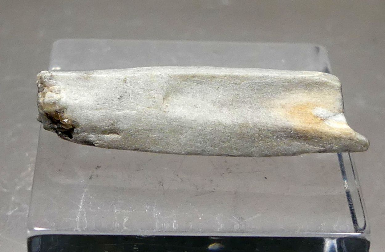 Meteorite Var Aubrite