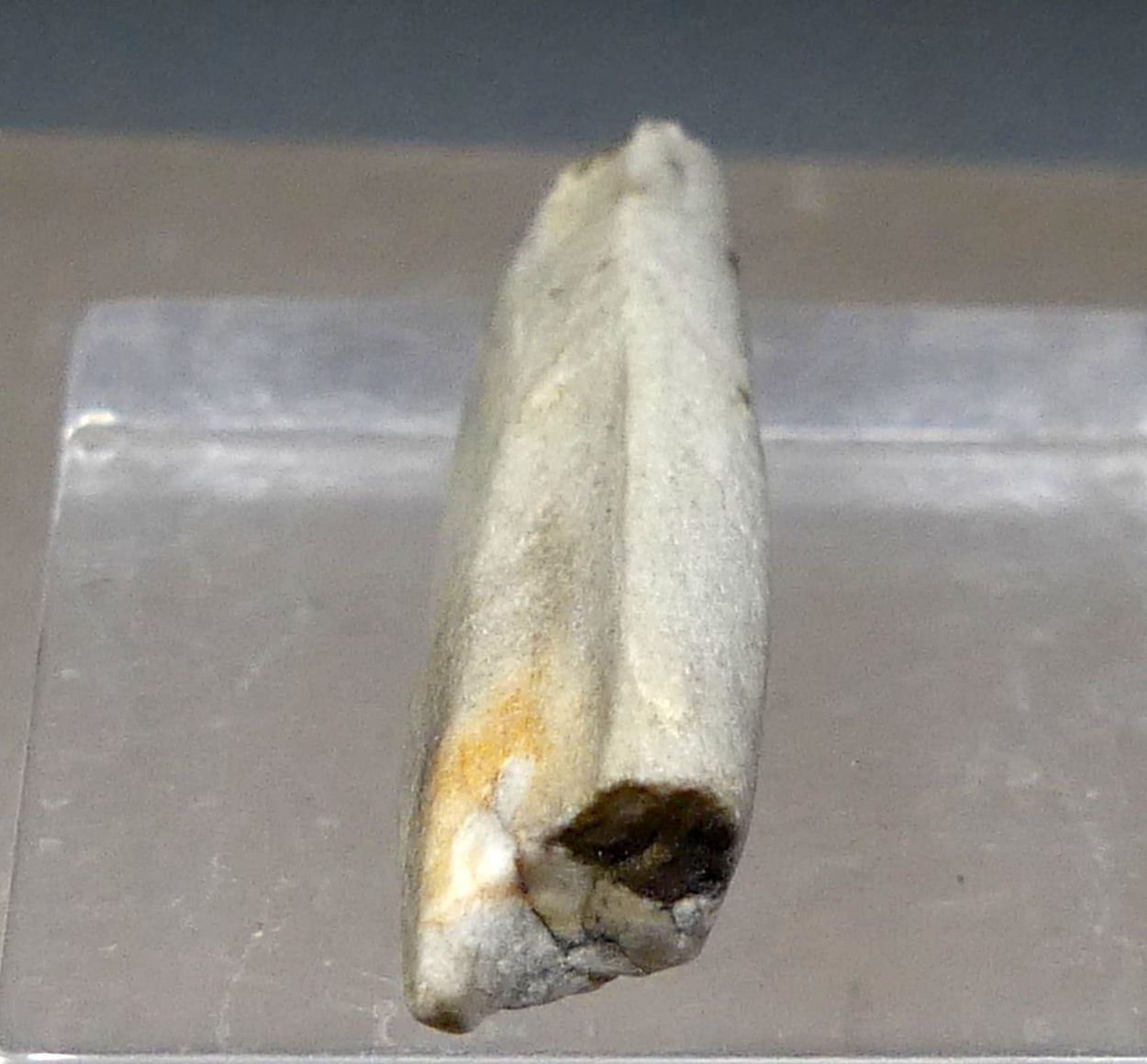 Meteorite Var Aubrite