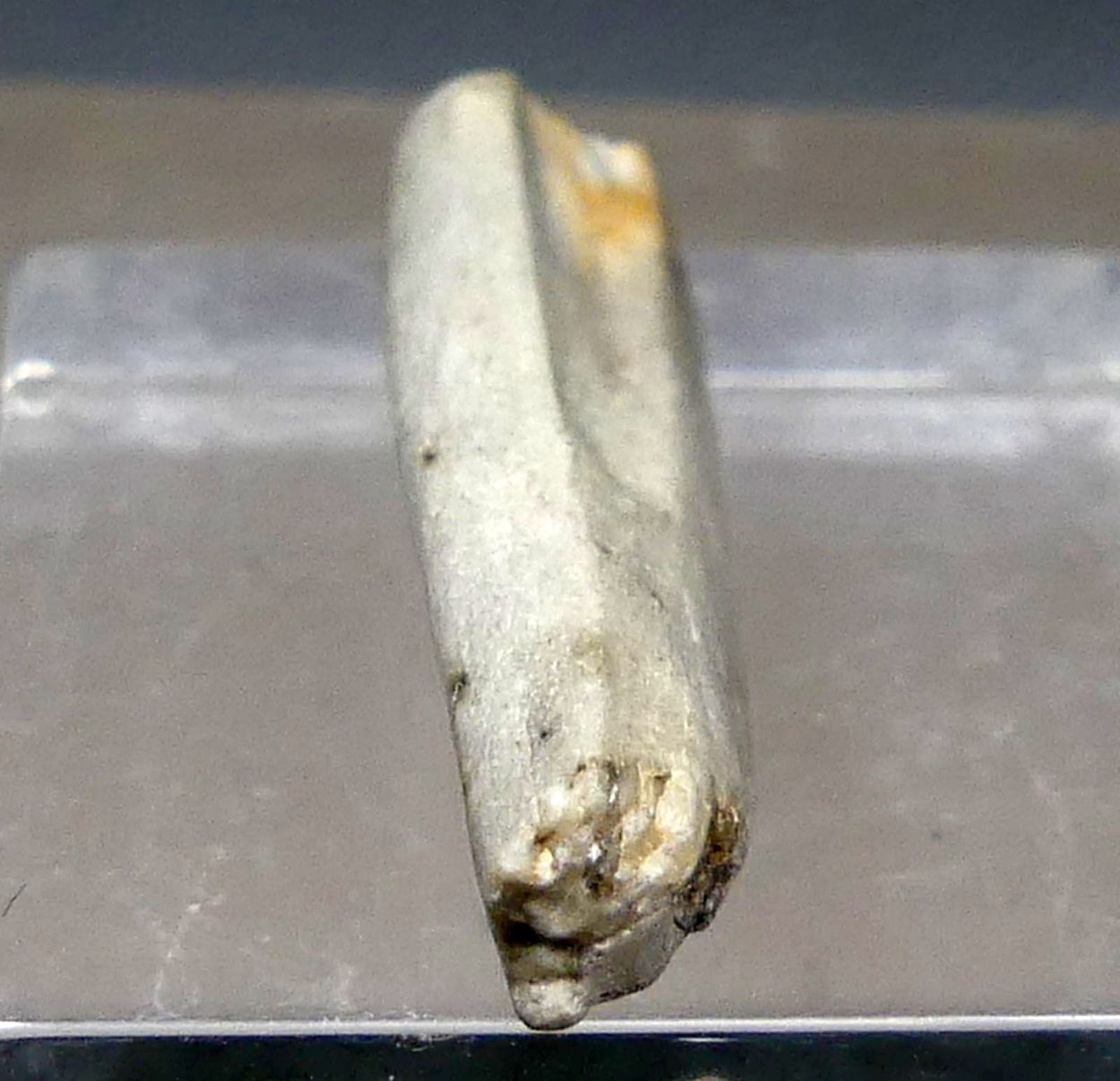 Meteorite Var Aubrite