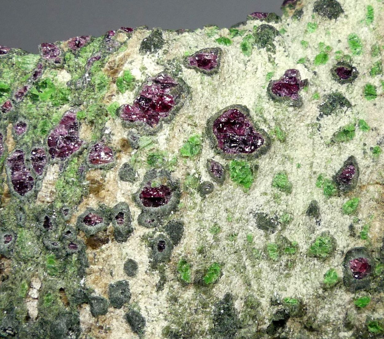 Pyrope Kelyphite & Chromian Diopside In Forsterite