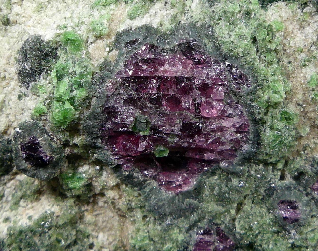 Pyrope Kelyphite & Chromian Diopside In Forsterite