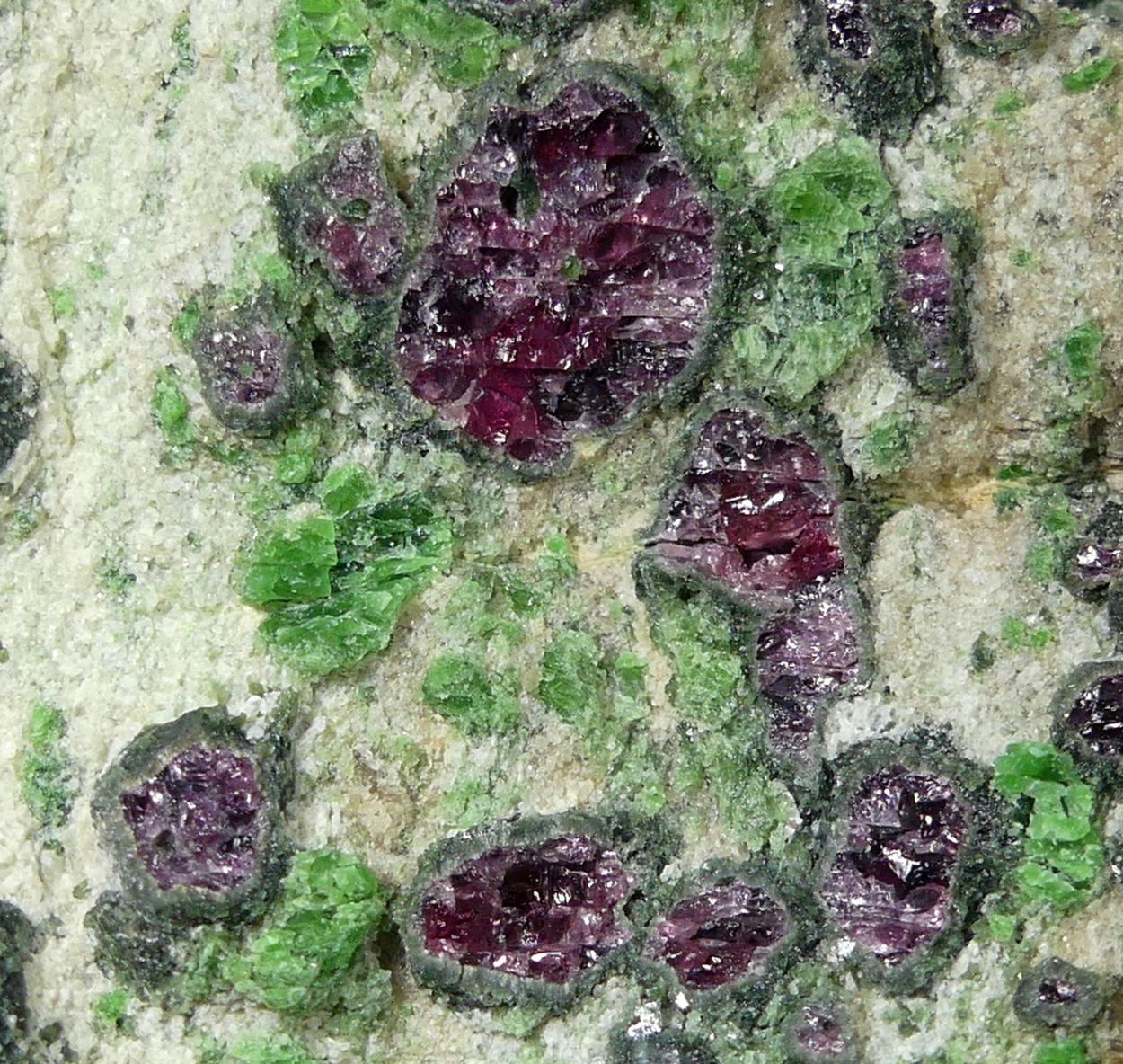 Pyrope Kelyphite & Chromian Diopside In Forsterite