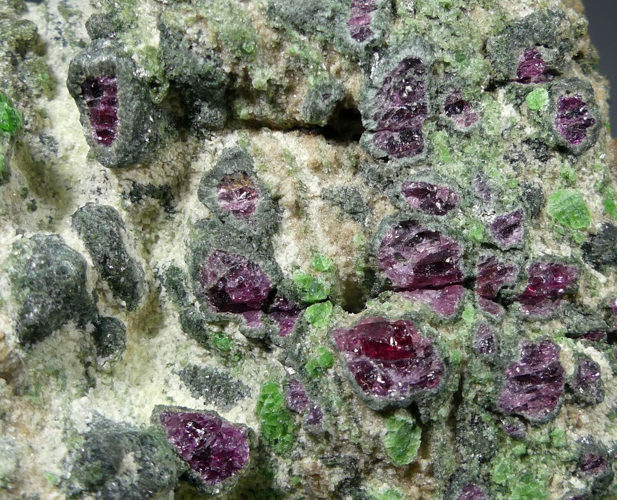 Pyrope Kelyphite & Chromian Diopside In Forsterite