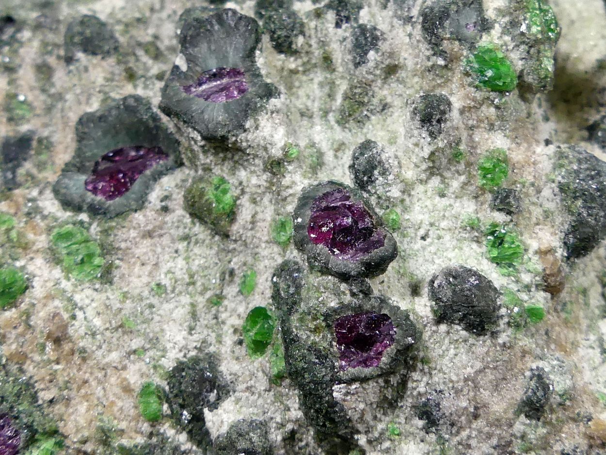 Pyrope Kelyphite & Chromian Diopside In Forsterite