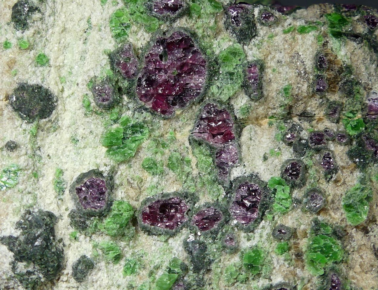 Pyrope Kelyphite & Chromian Diopside In Forsterite