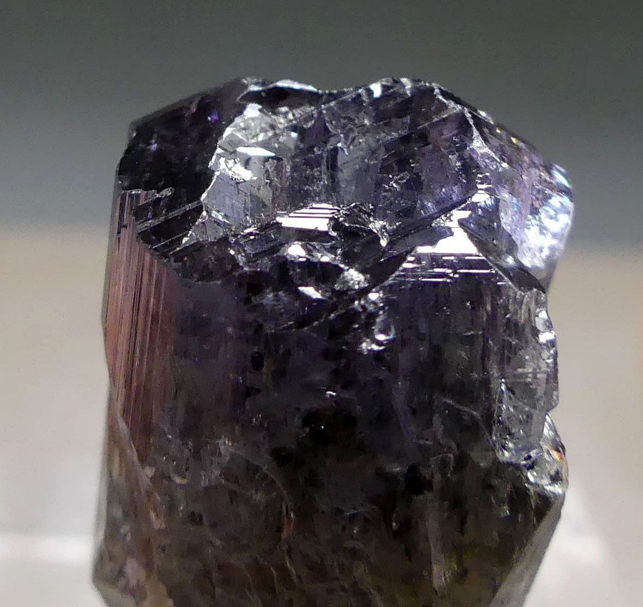 Tanzanite With Graphite