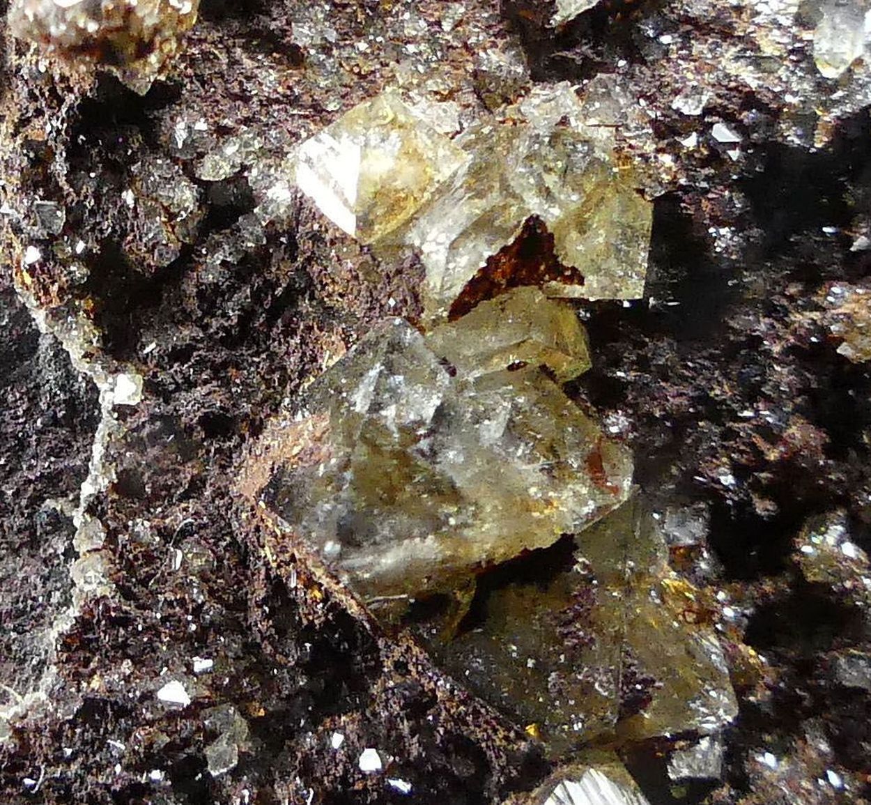 Wardite
