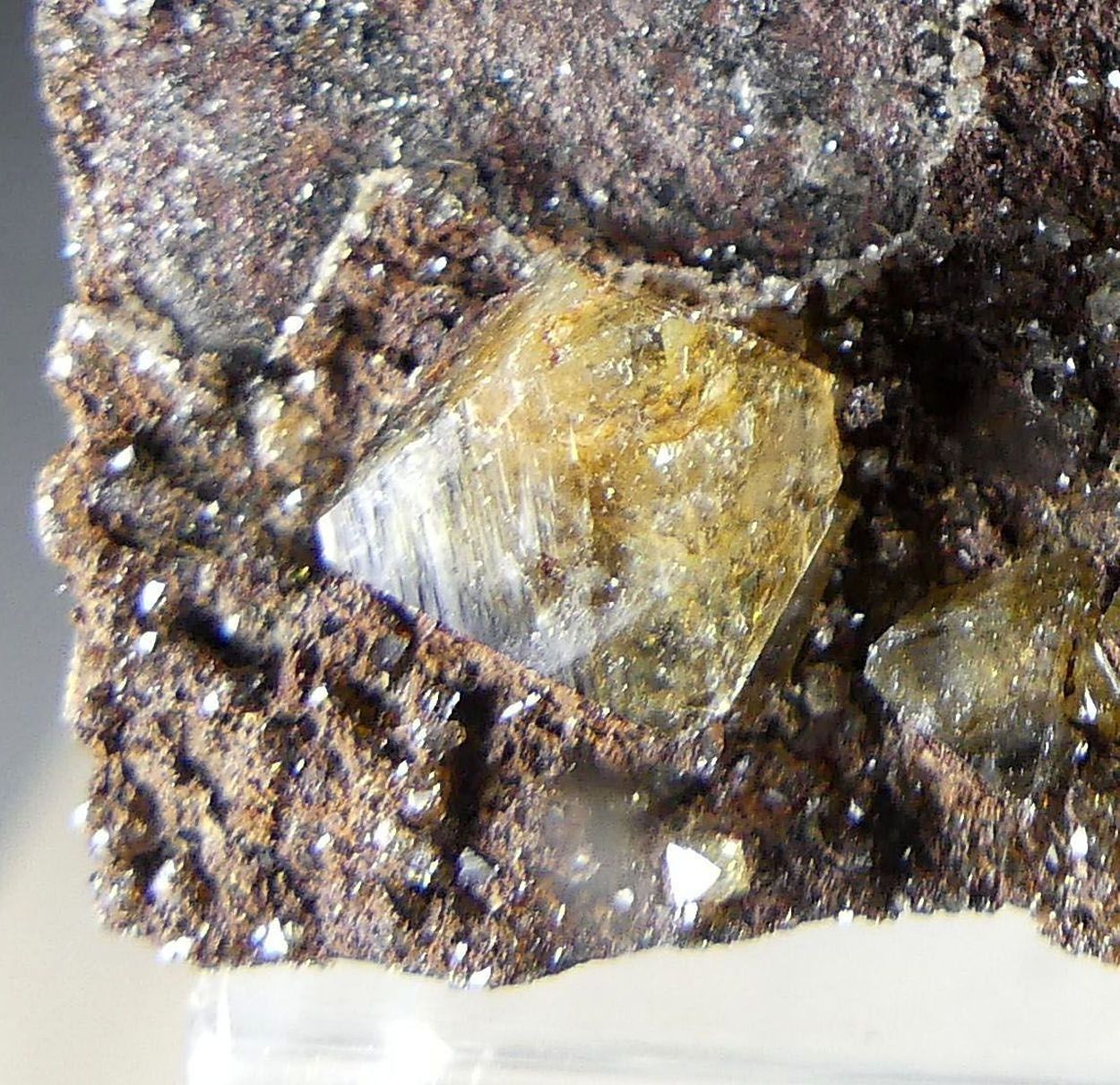 Wardite