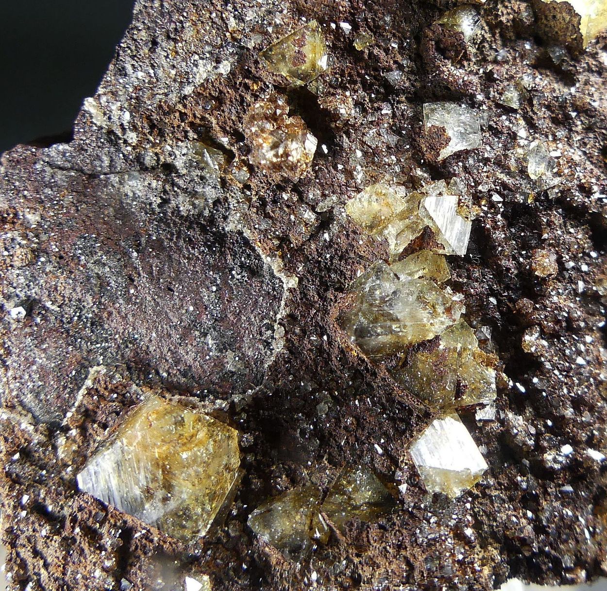 Wardite