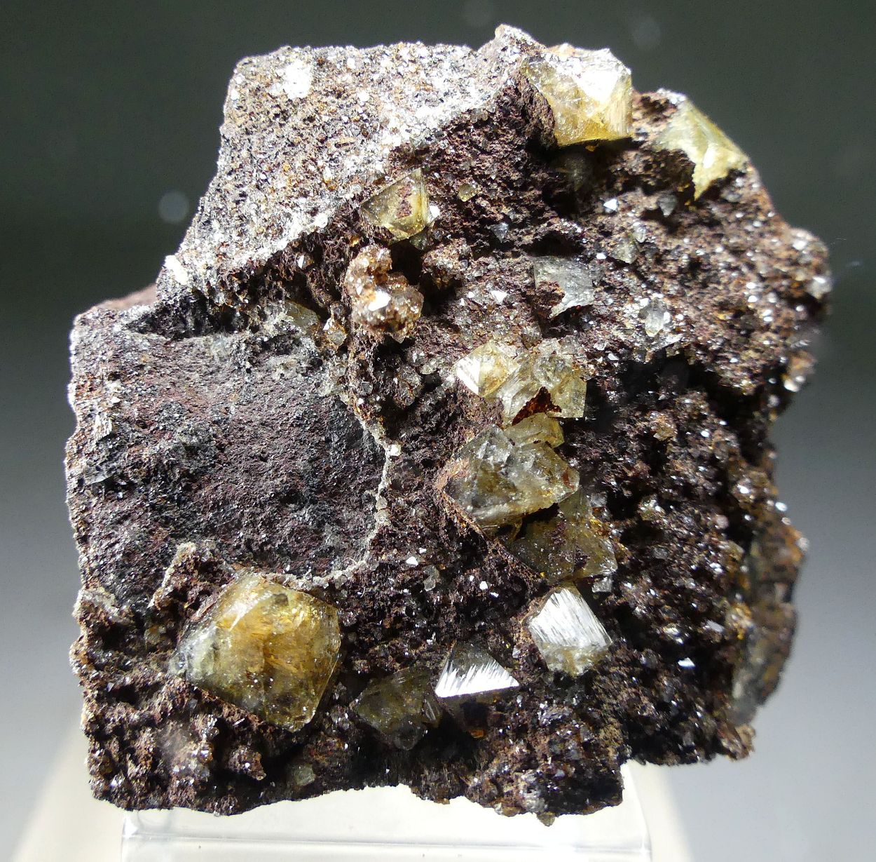 Wardite