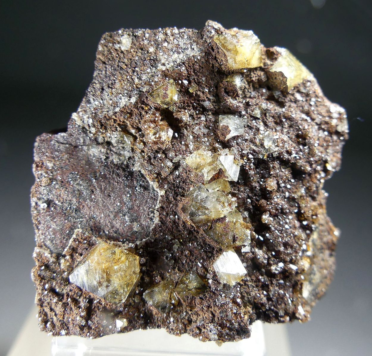 Wardite