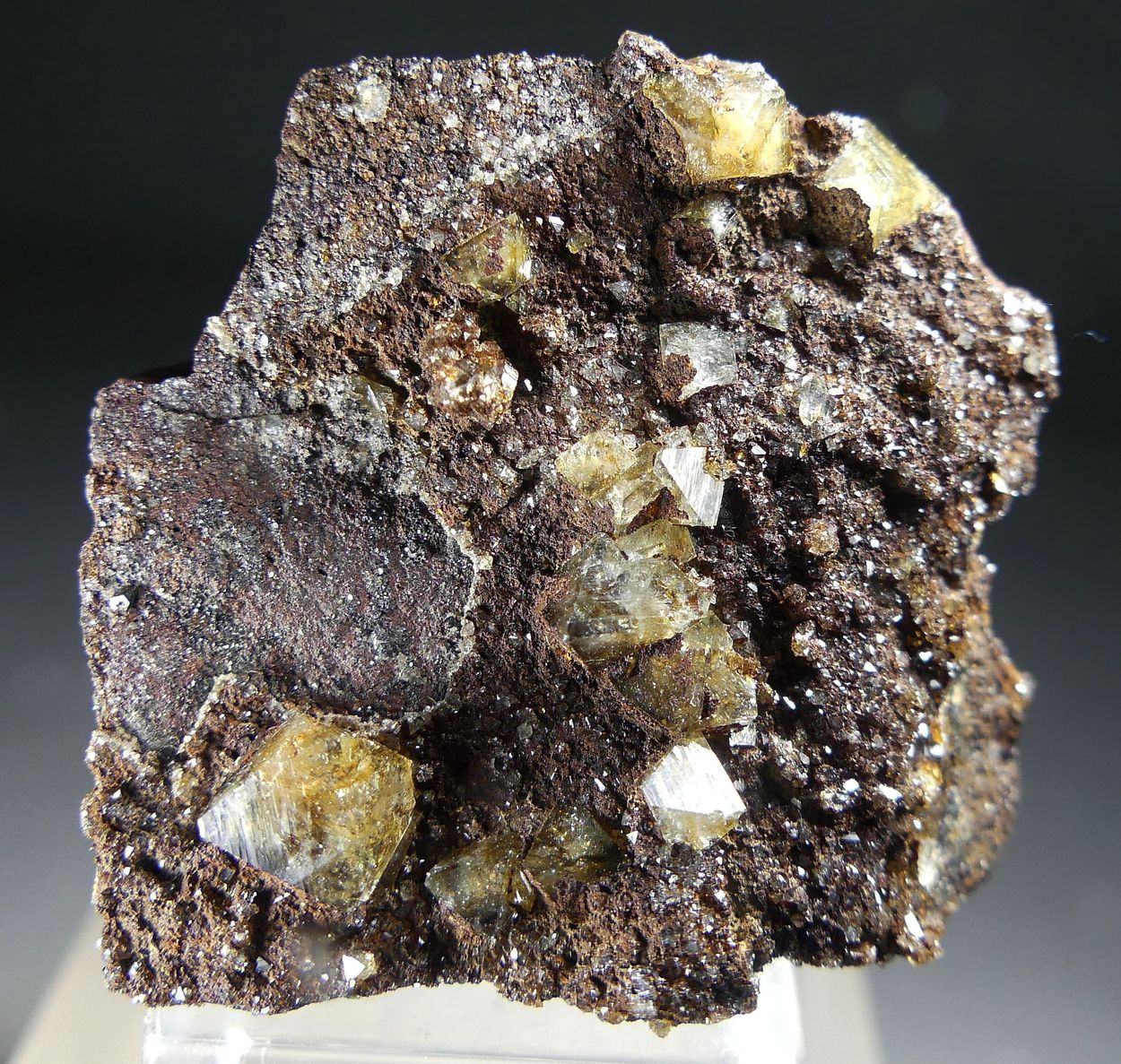 Wardite
