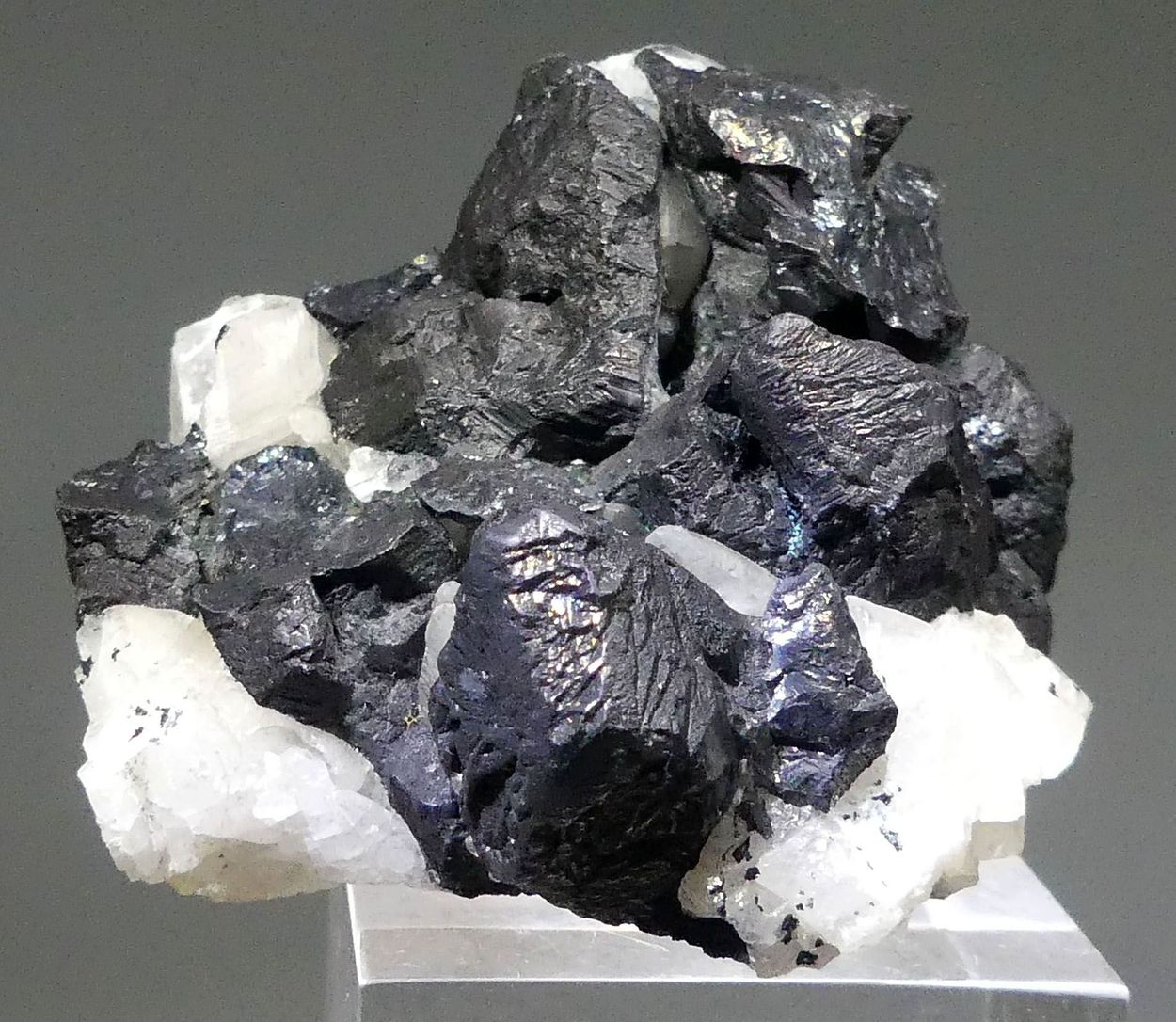 Bornite