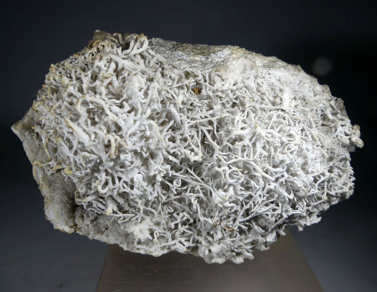 Aragonite Var Flos Ferri