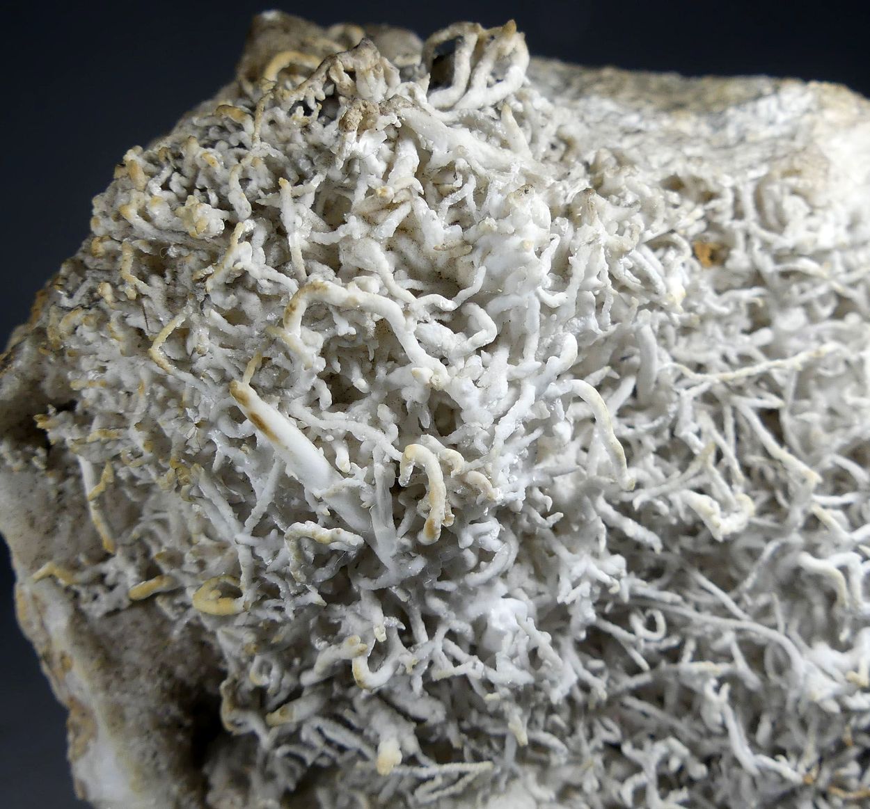 Aragonite Var Flos Ferri