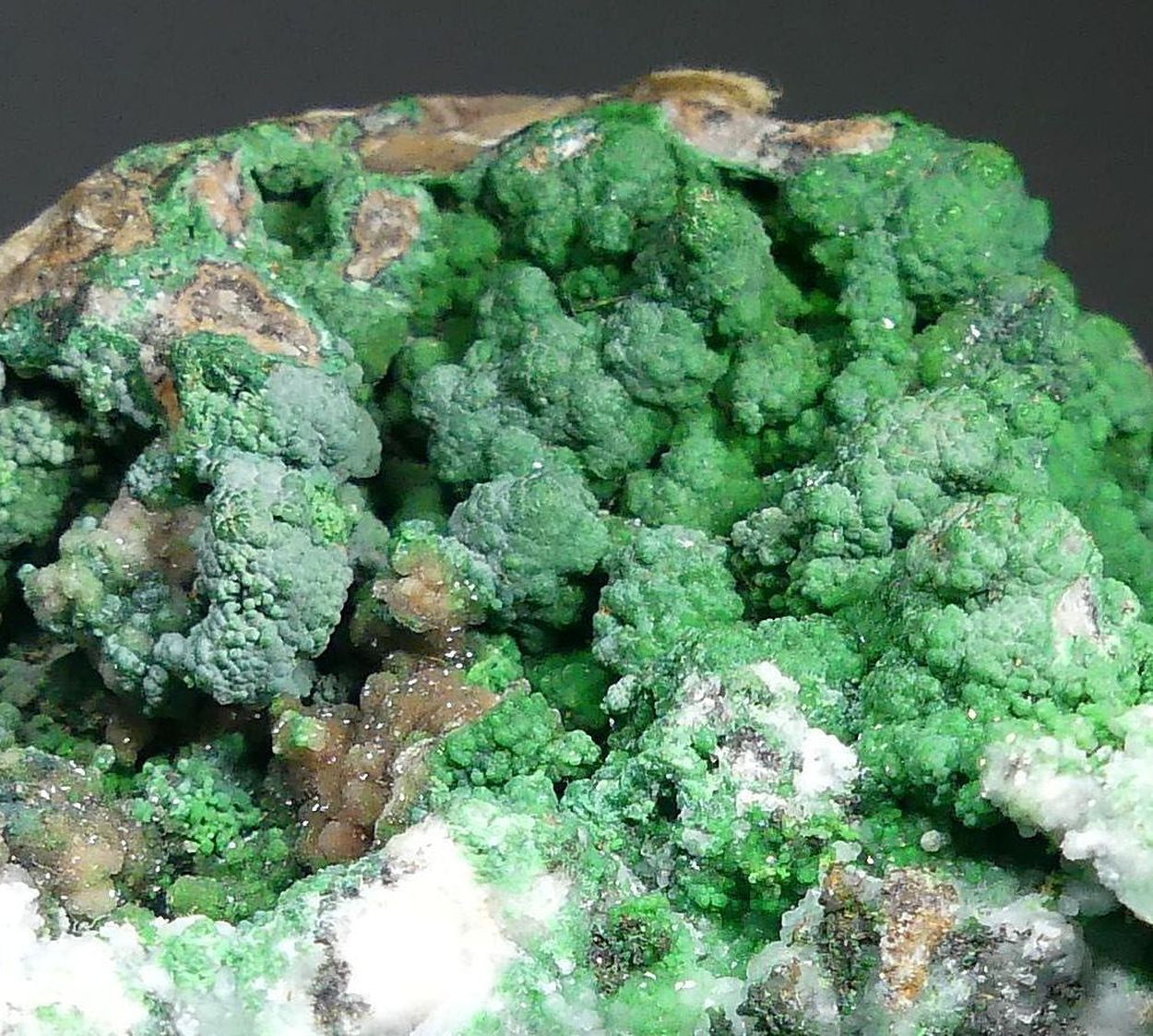 Conichalcite On Smithsonite