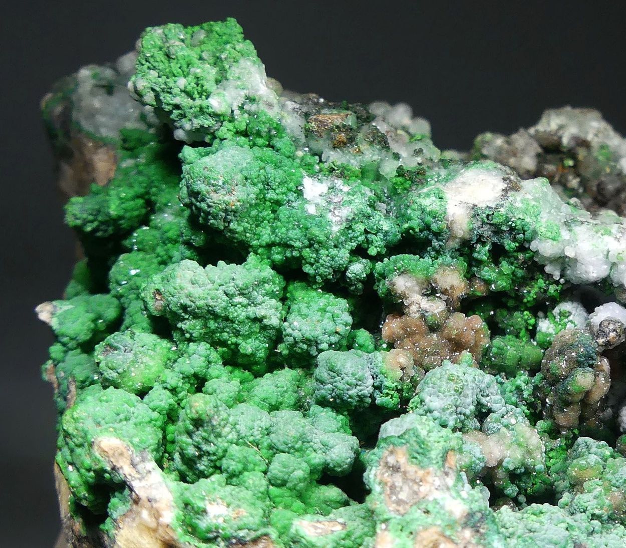 Conichalcite On Smithsonite