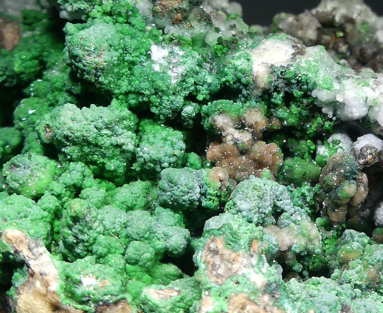 Conichalcite On Smithsonite