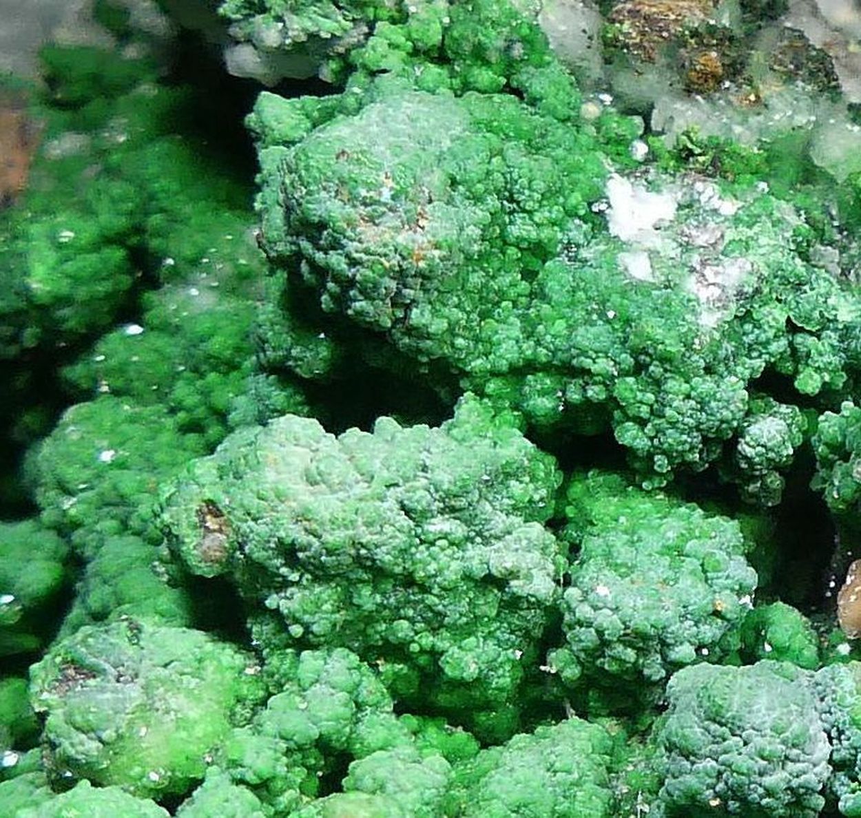 Conichalcite On Smithsonite