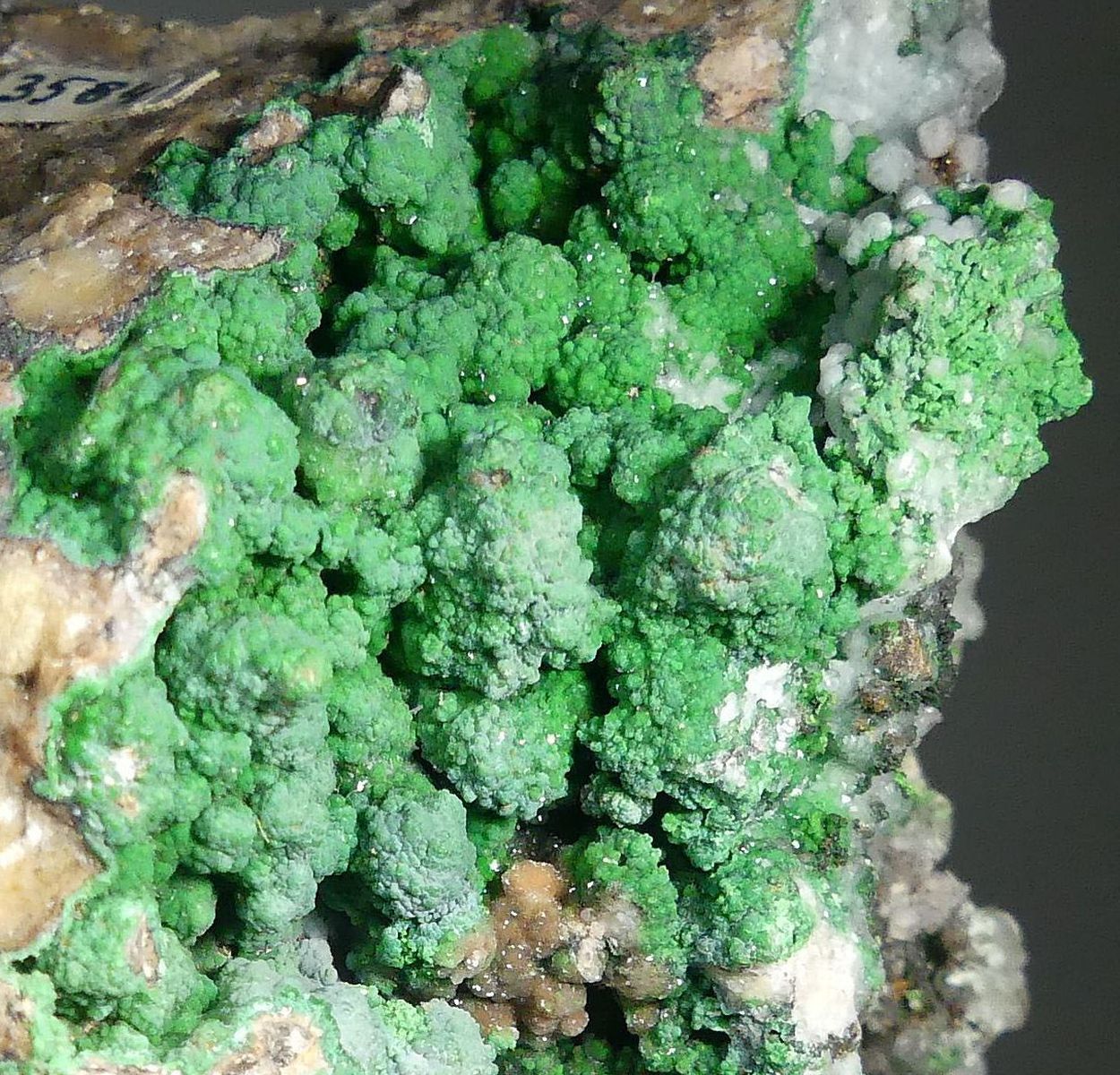 Conichalcite On Smithsonite