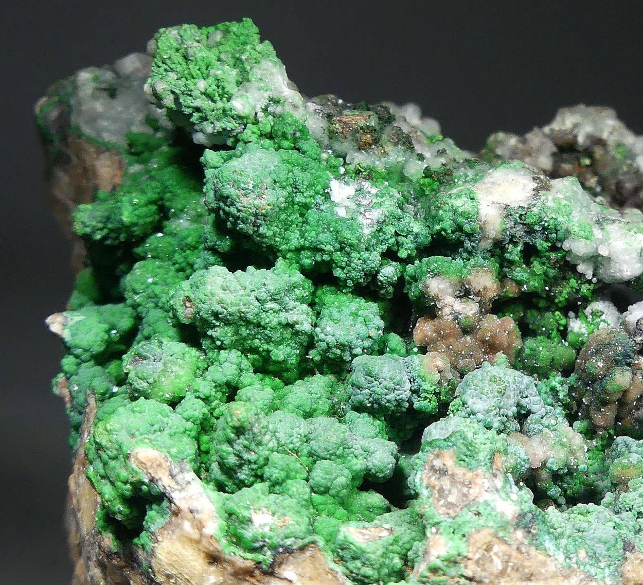 Conichalcite On Smithsonite