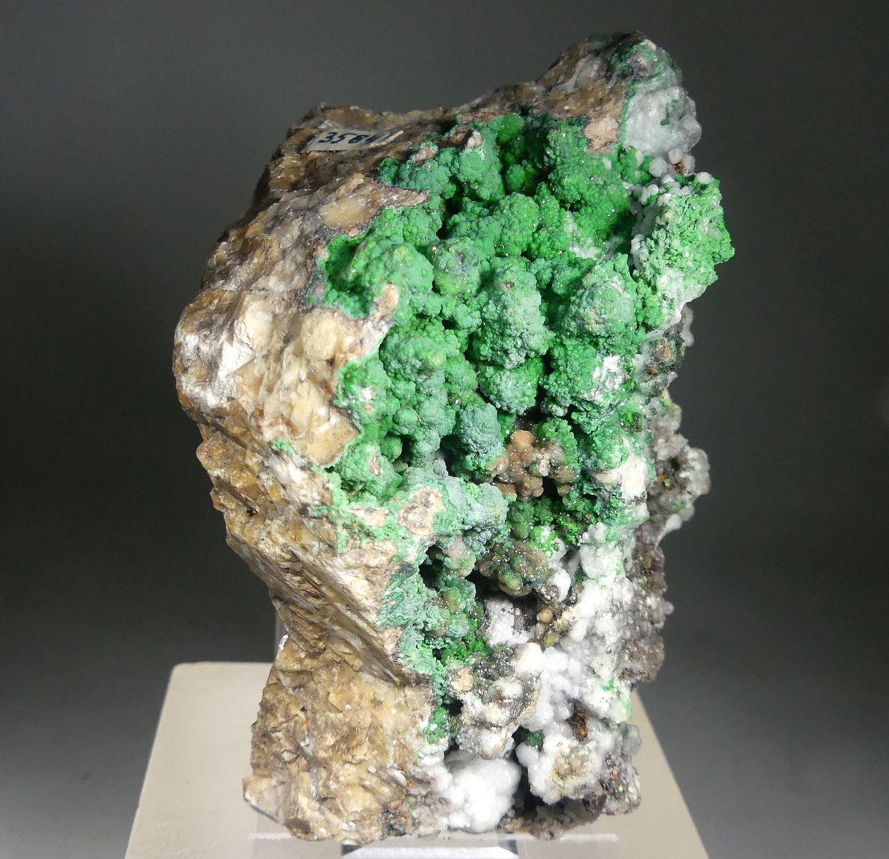 Conichalcite On Smithsonite