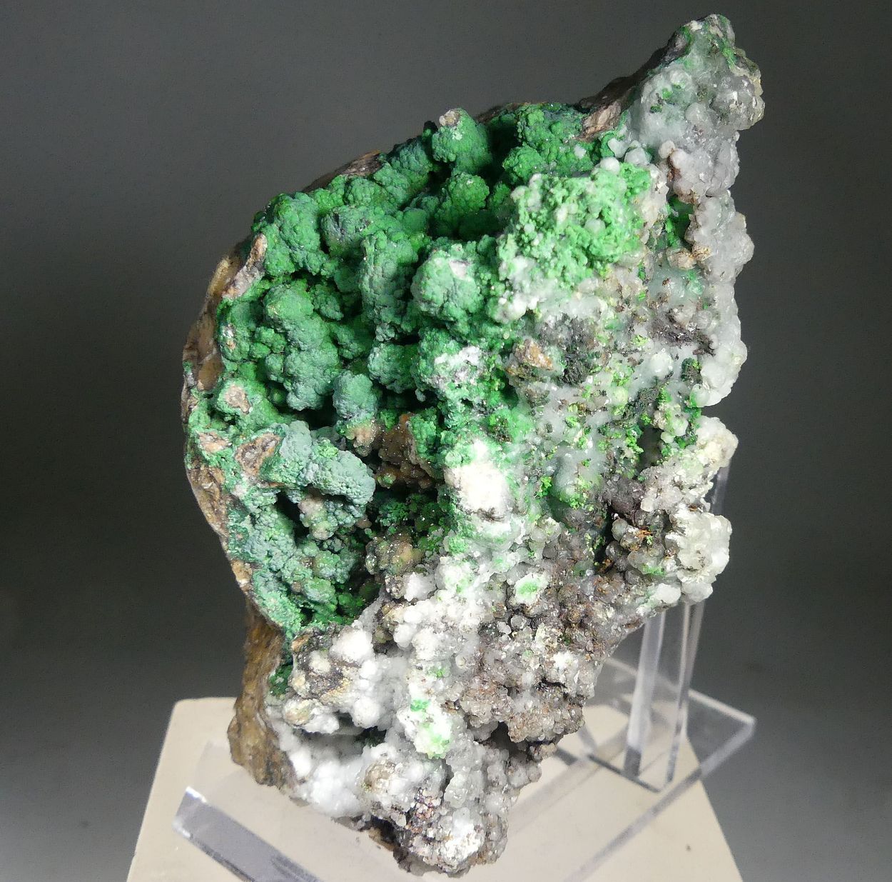 Conichalcite On Smithsonite