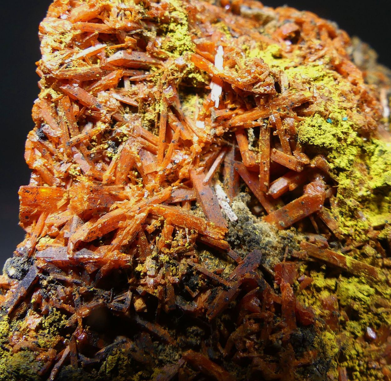 Crocoite With Bindheimite