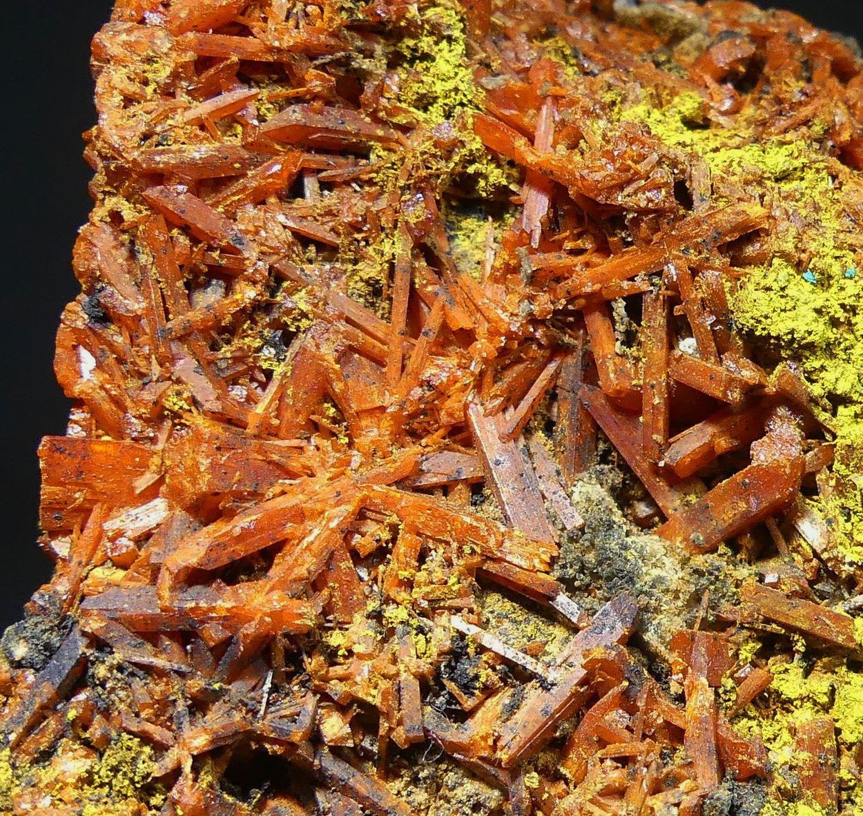 Crocoite With Bindheimite