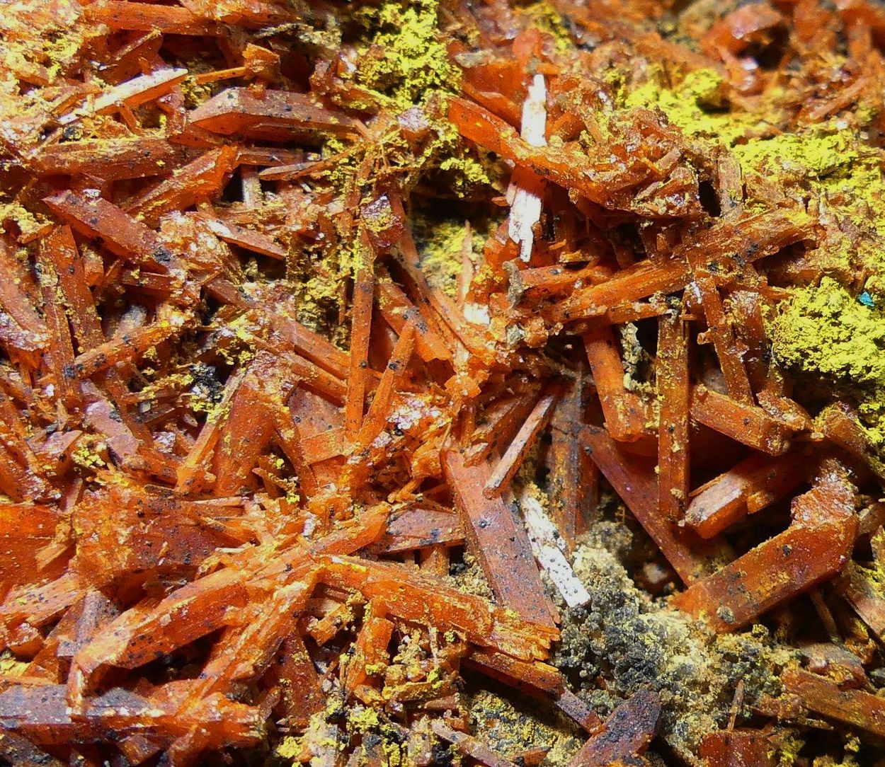 Crocoite With Bindheimite