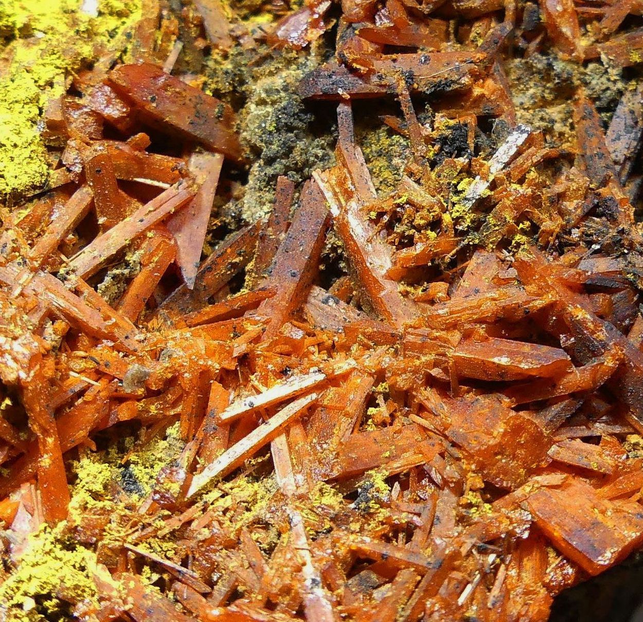 Crocoite With Bindheimite