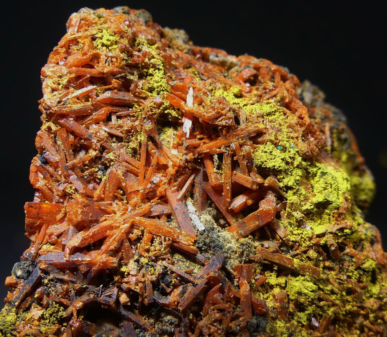 Crocoite With Bindheimite