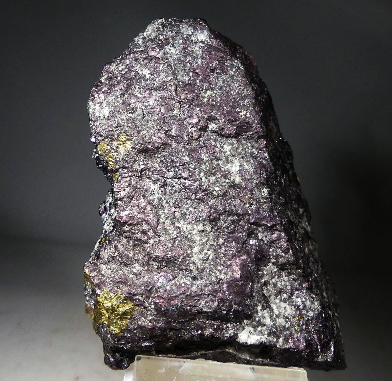 Bornite Chalcocite & Chalcopyrite