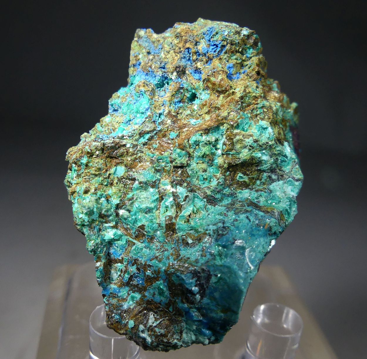 Chalcophyllite & Cyanotrichite