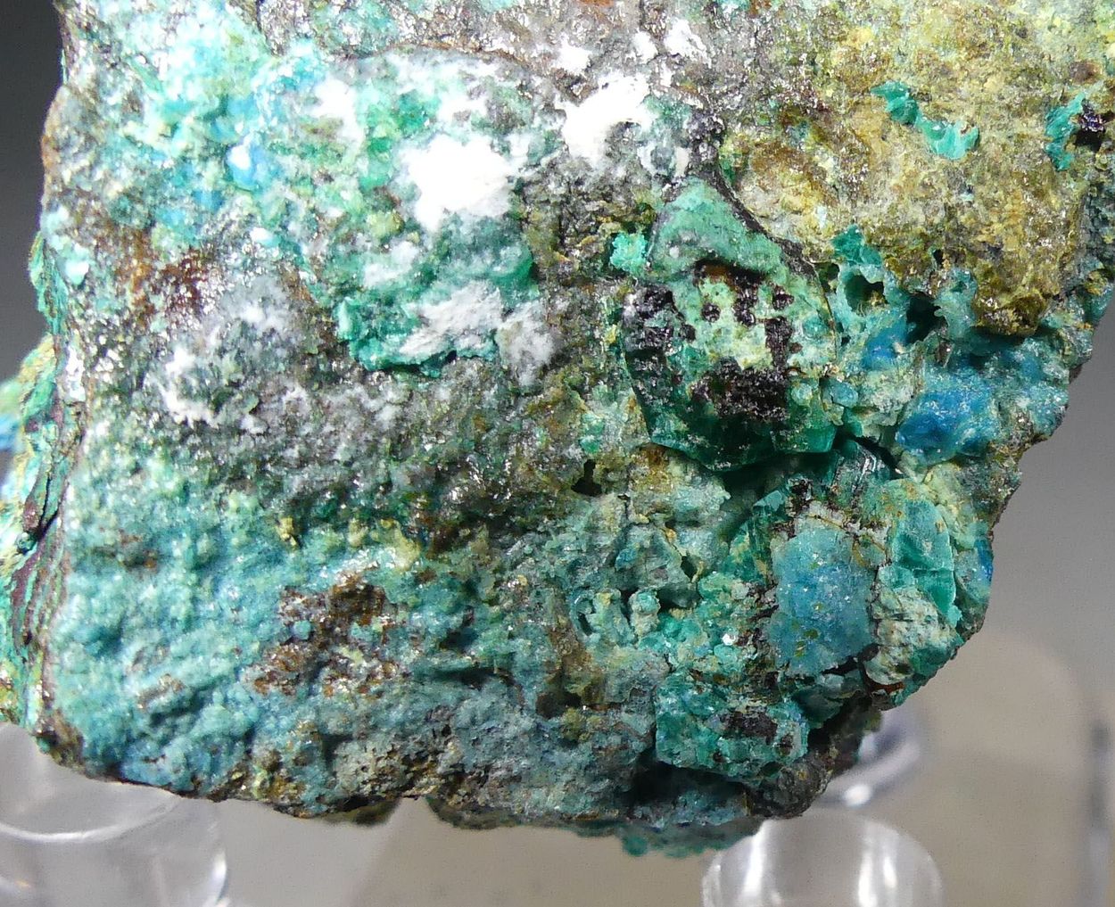 Chalcophyllite & Cyanotrichite