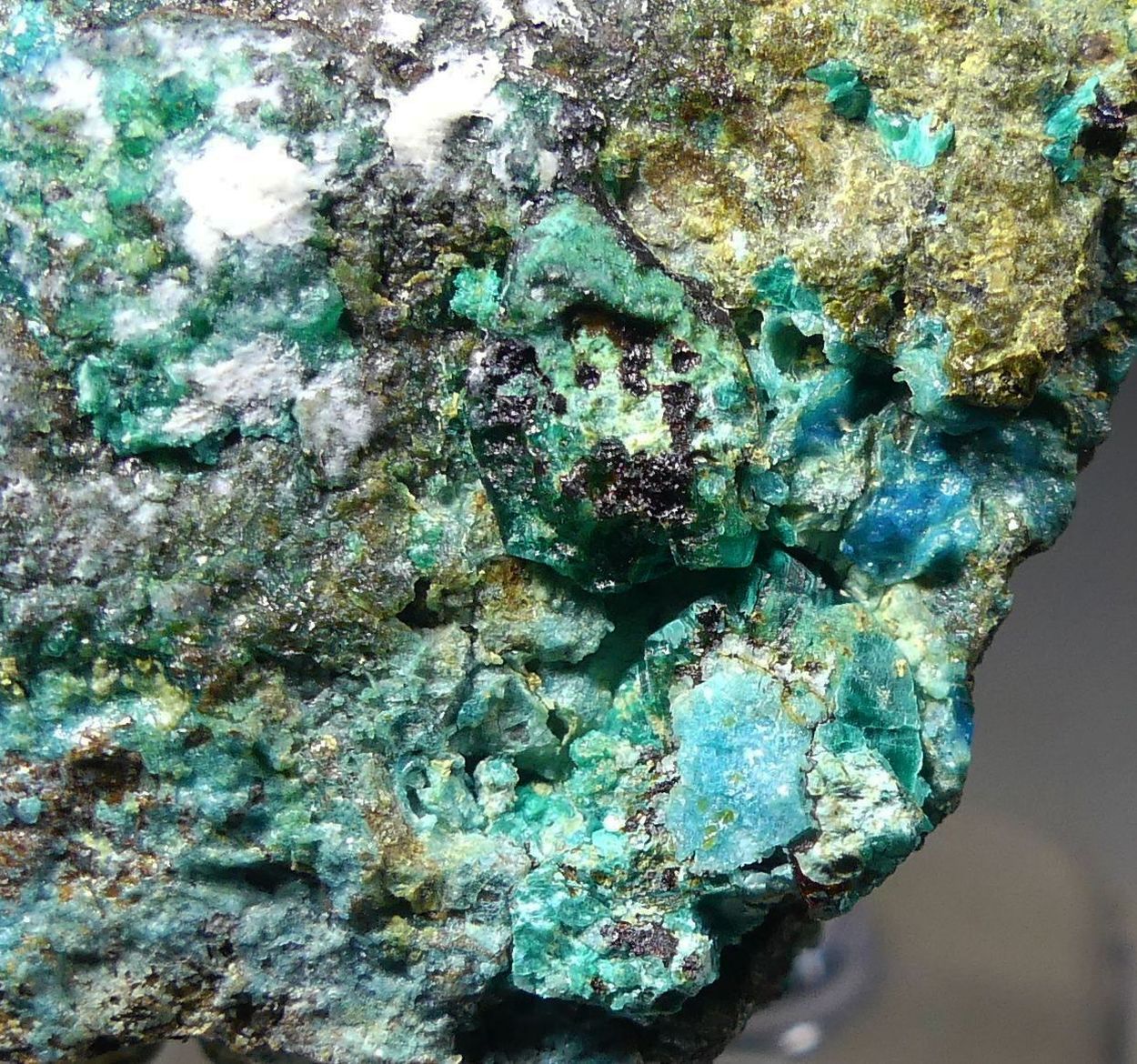 Chalcophyllite & Cyanotrichite